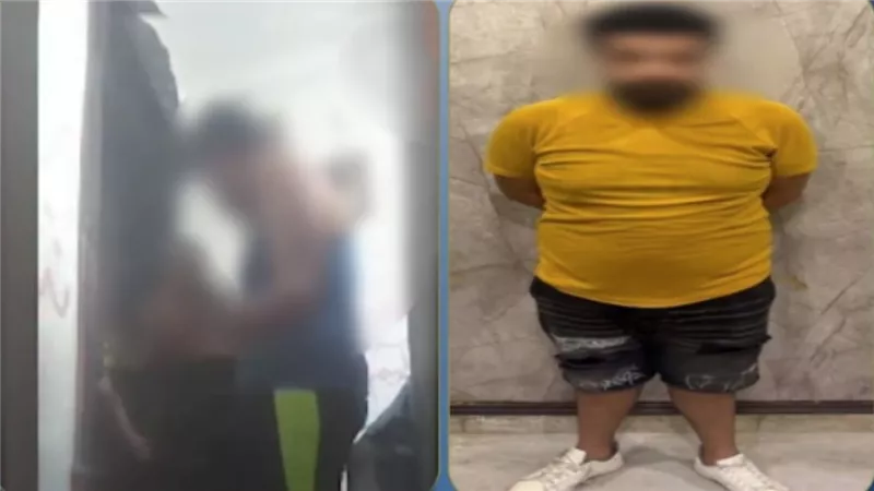 تجرّد من مشاعر الإنسانية.. تفاصيل ضبط المتهم بالتعدى على والدته بالاسكندرية | فيديو