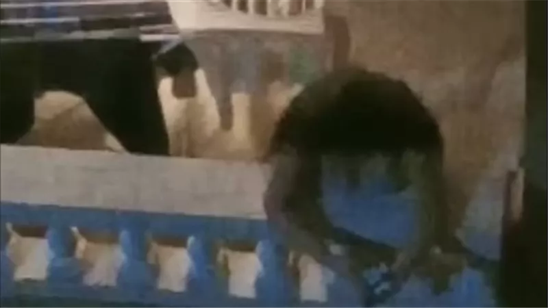 إحداهما صورت الأخرى بملابس خادشة.. تفاصيل القبض على سيدتين بعد انتشار فيديو غير لائق 
