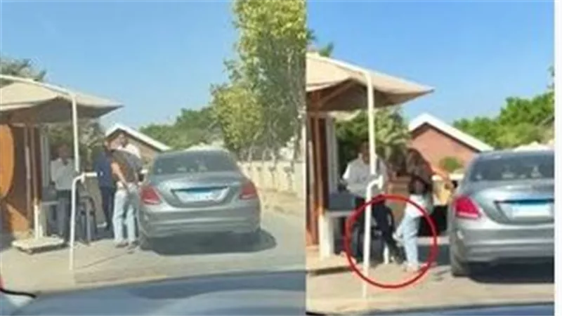 متعرفش أنا بنت مين؟... لقطات صادمة لاعتداء سيدة على فرد أمن بـ «نيو جيزة» | فيديو