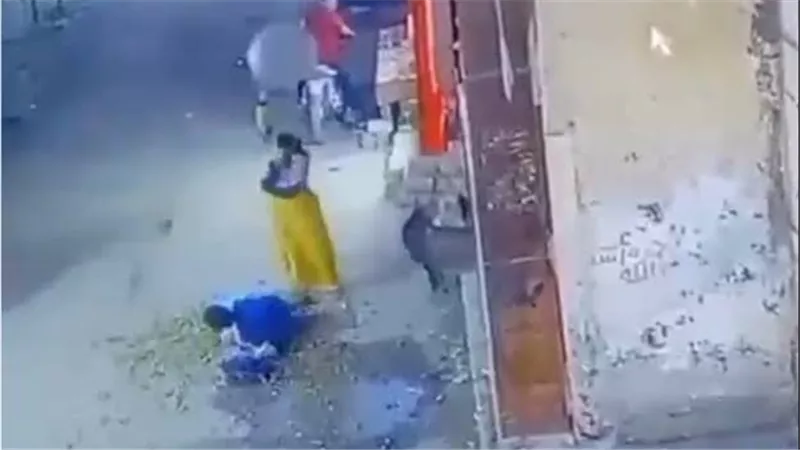 تفاصيل ضبط المتهمة بالتعدى على طالب من ذوي الهمم في قرية زهرة بالمنيا | فيديو