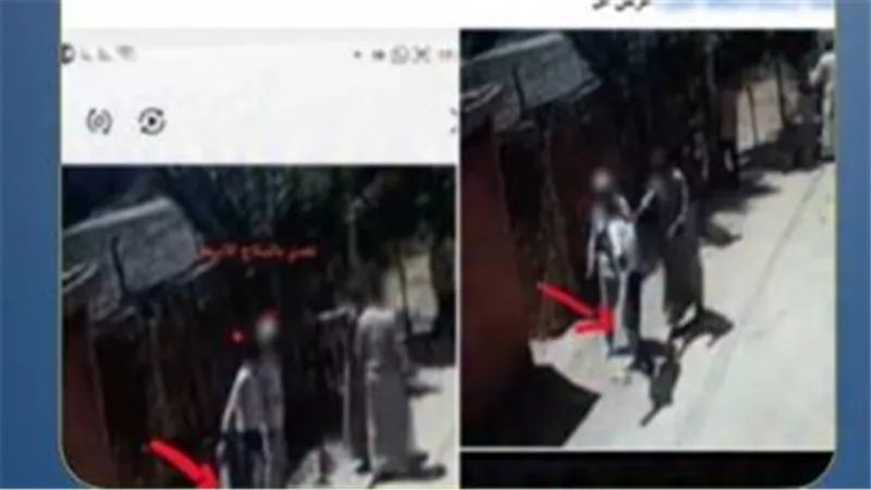 بلطجة وتكسير كاميرات.. تفاصيل ضبط طرفي مشاجرة أبو حمص | فيديو