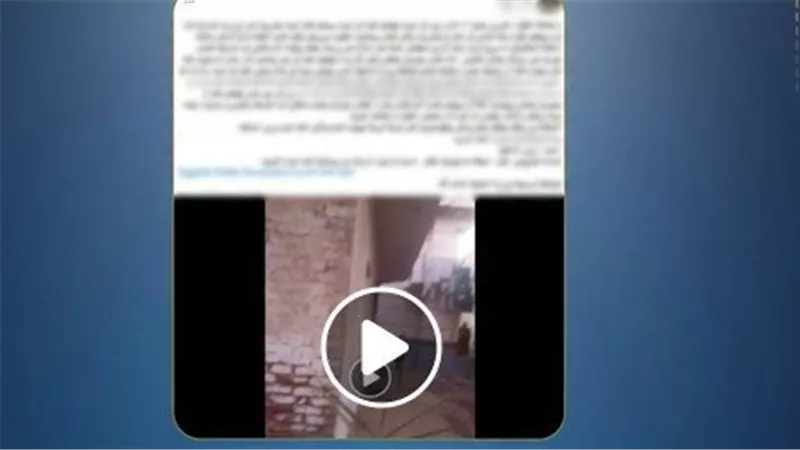 ادعت عجزها عن تحرير محضر.. كشف حقيقة فيديو السيدة المتضررة من تعدي أقاربها بـ إيتاي البارود | شاهد