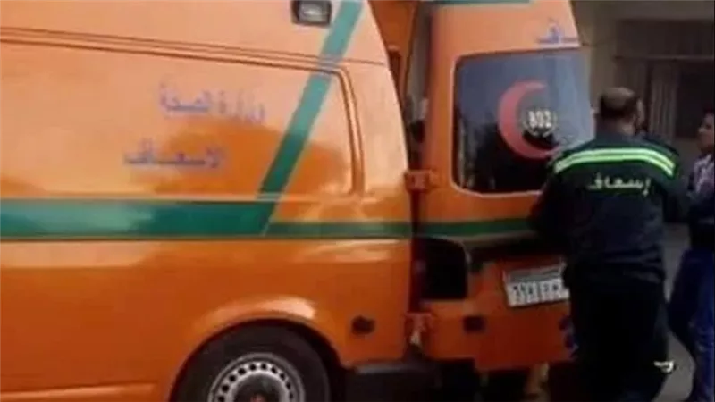 ألقاه من الطابق الثالث.. تفاصيل ضبط المتهم بانهاء حياة والده بالخصوص