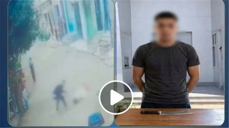 فيديو صادم.. تفاصيل ضبط المتهم بطعن والده في الشارع بالمنوفية | شاهد