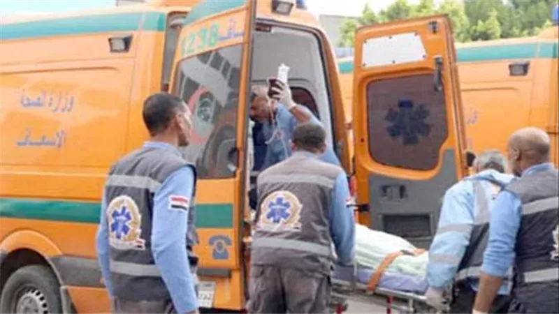 تفاصيل صادمة.. عاطل يقتل حماه في جلسة صلح بالإسكندرية