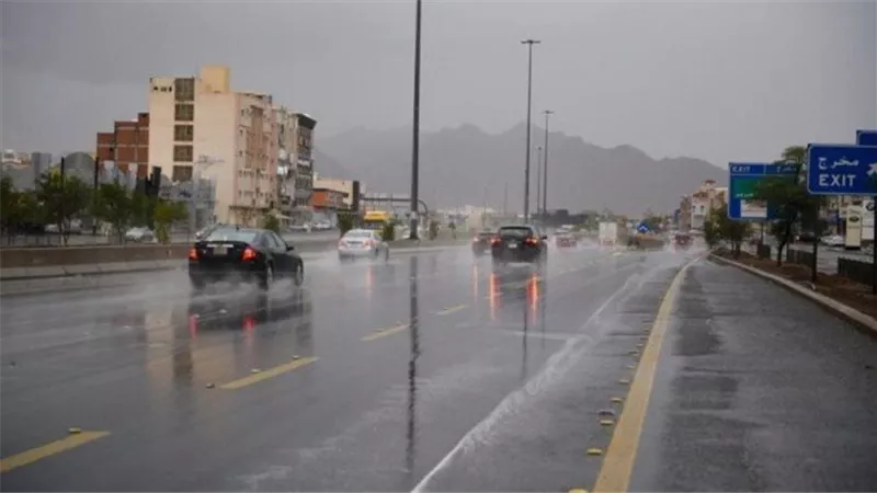 الأرصاد تحذر من الشبورة والأمطار الرعدية.. حالة الطقس غدا السبت 10-10-2026