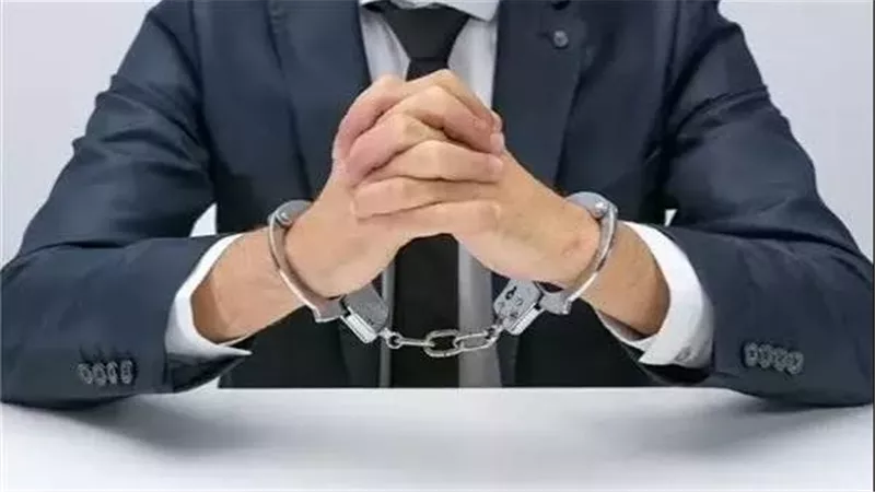 سقوط الحوت الهارب في الشيخ زايد.. تفاصيل القبض على رجل أعمال هارب من 178 سنة سجن