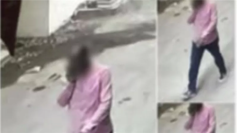 حقيقة الاستيلاء على هاتف سيدة أثناء سيرها بالشارع في الفيوم 