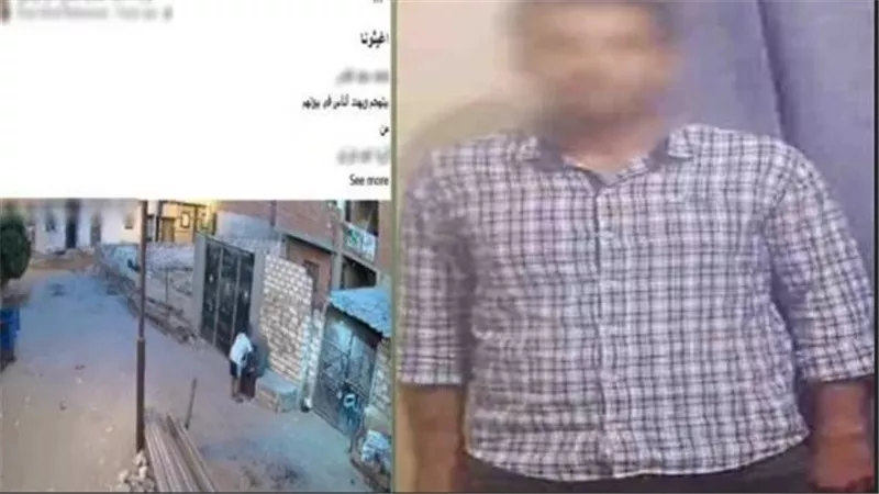 رشق بالحجارة وتشهير.. تفاصيل ضبط المتهم بالتعدّى على فتاة وأسرتها بالبحيرة | فيديو