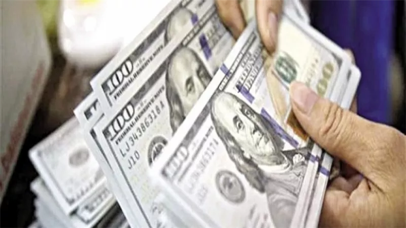 محسن عادل: الدولار كان سيصل إلى 70 جنيها لولا قرارات الإصلاح الاقتصادى التاريخية | فيديو 