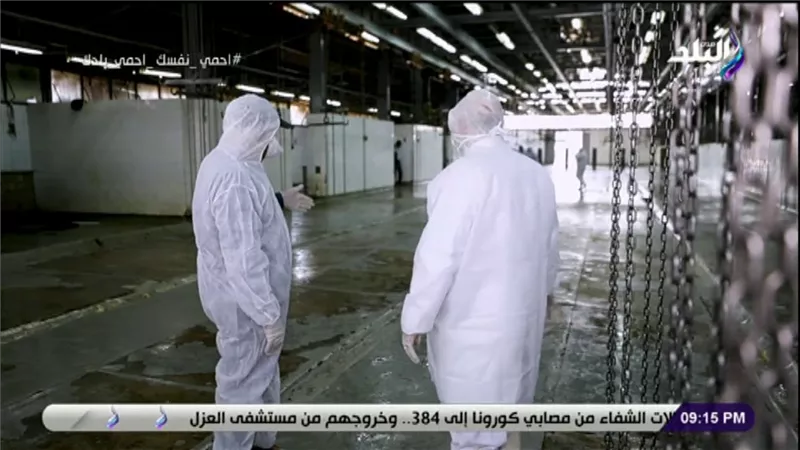 مدير مجزر البساتين: بسبب كورونا إقبال على اللحوم البقرى والجملي وتراجع الضأن | فيديو