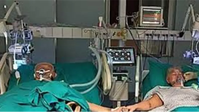 استاذ بجامعة نيويورك يكشف كيف يعالج دواء الملاريا مصابي فيروس كورونا؟ | فيديو
