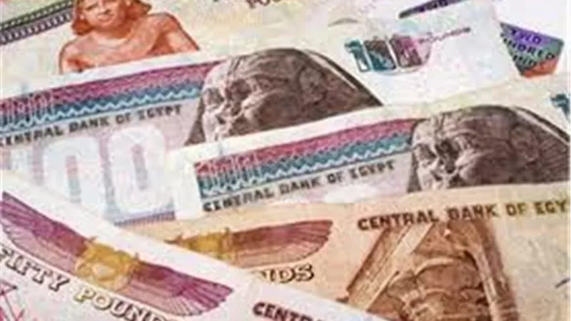 البنك المركزي يكشف حقيقة الغاء العملات الورقية الحالية واستبدالها بالبلاستيكية