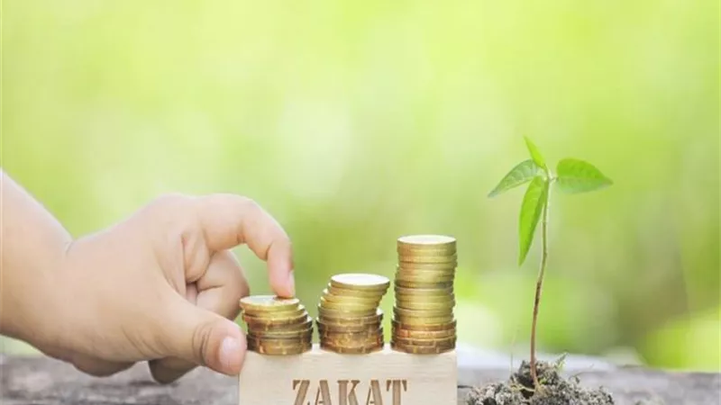 هل يجوز إخراج زكاة عن المتوفى ؟ | فيديو