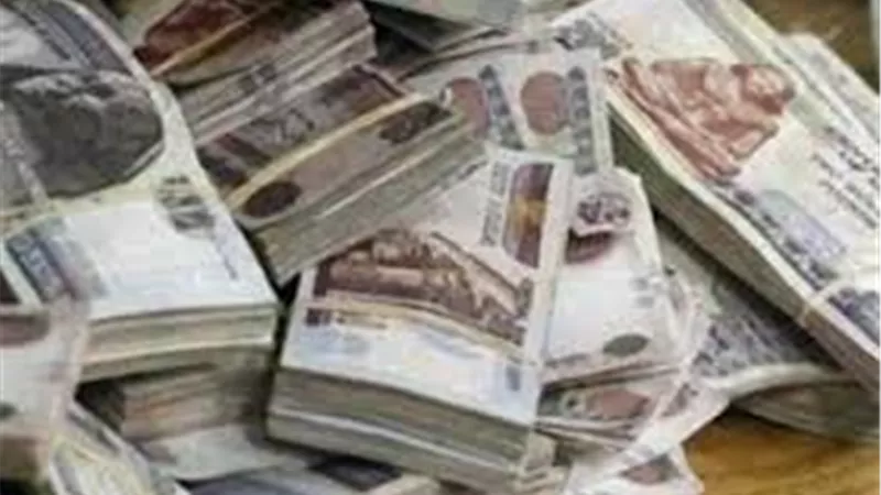 وزير المالية يعلن موعد صرف مرتبات مايو | فيديو