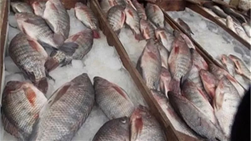 أسعار الاسماك اليوم الاثنين 18 مايو 2020