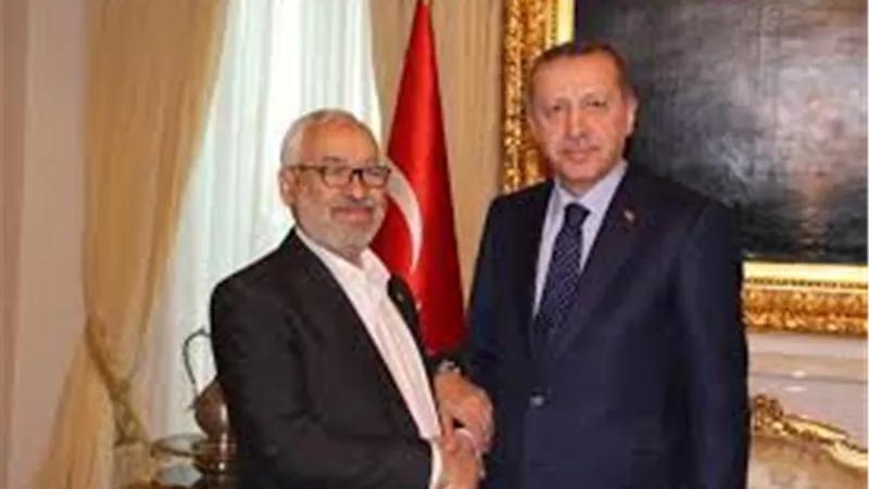 لماذا يكره أردوغان مصر؟ وما سر علاقته بالغنوشى | فيديو 