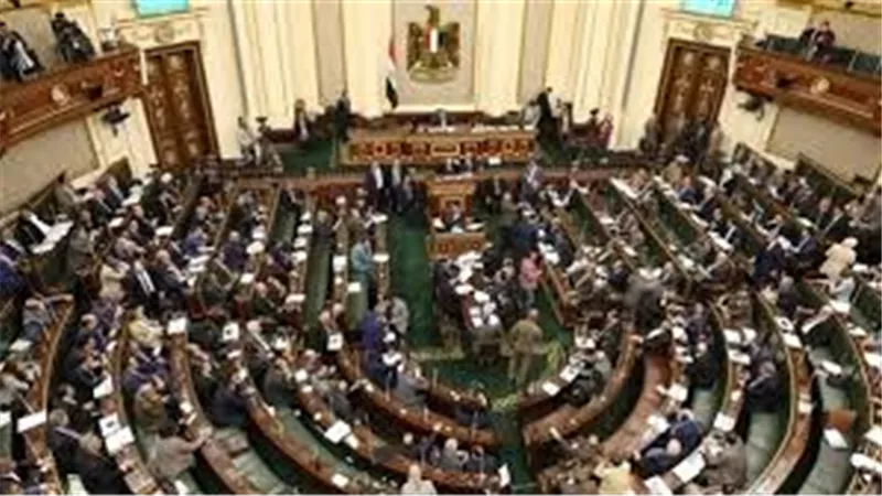 25 % للمرأة.. تفاصيل قانون مجلس النواب الجديد | فيديو
