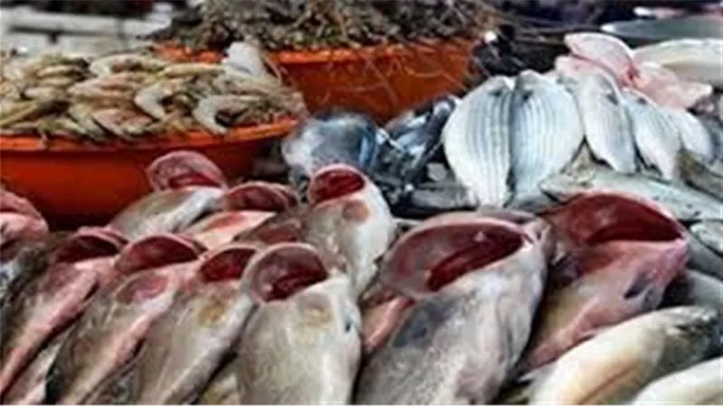 أسعار الاسماك اليوم الجمعة 12 يونيو 2020
