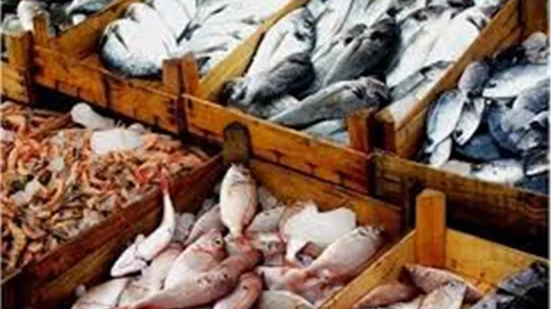 أسعار الاسماك اليوم السبت 13 يونيو 2020