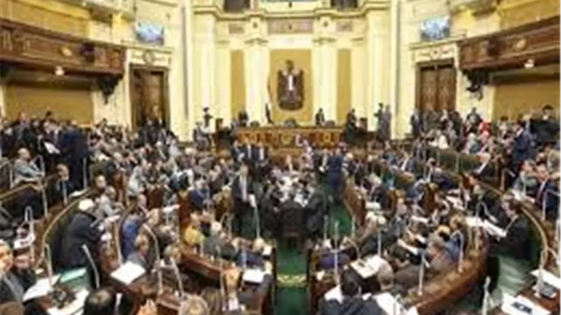 شروط الترشح لانتخابات مجلس الشيوخ | فيديو