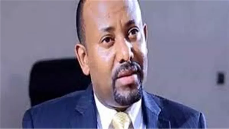تنسيقية الأحزاب : آبي أحمد يستغل أزمة السد لإلهاء الأثيوبيين عن المشاكل الداخلية | فيديو