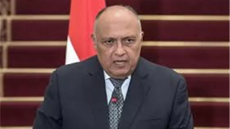 ماذا لو أصرت إثيوبيا على ملء سد النهضة بشكل أحادي؟ وزير الخارجية يجيب | فيديو 