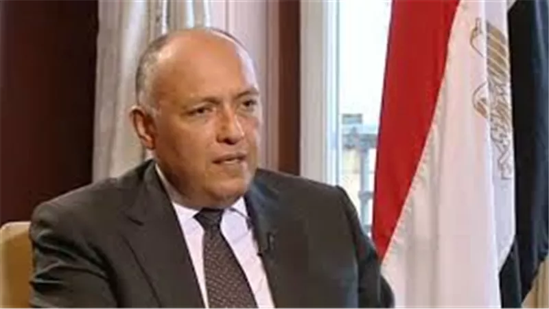 وزير الخارجية: القوات المسلحة المصرية تدافع عن الأمن المصري والعربي | فيديو