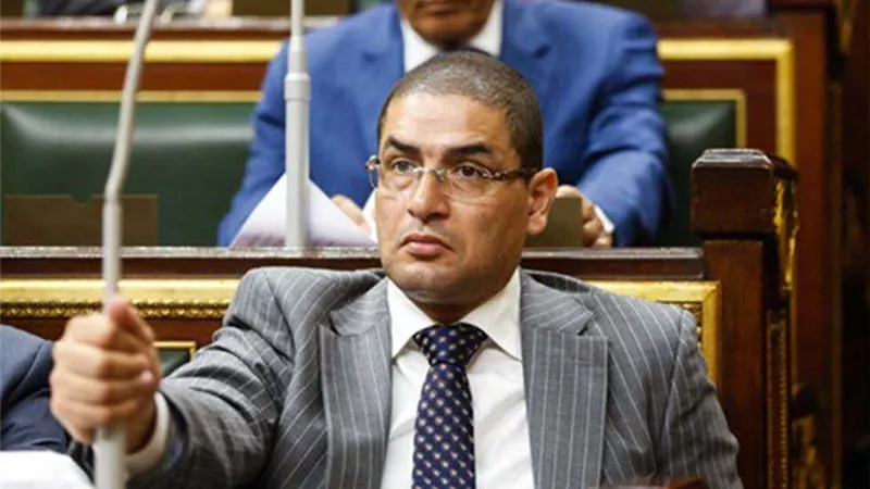 محمد أبو حامد : الإخوان خططوا لإنشاء إقليم منطقة سيناء ضمن خطة «الوطن البديل » | فيديو