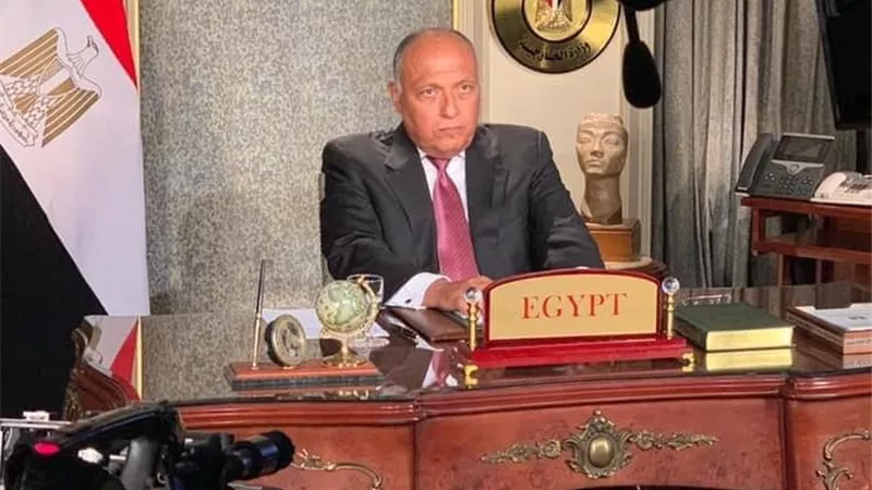 كلمة نارية من وزير الخارجية في جلسة مجلس الأمن بشأن سد النهضة