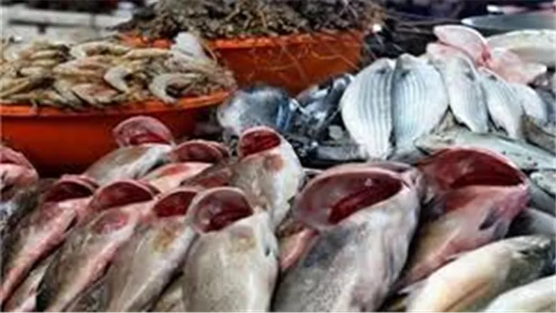أسعار الاسماك اليوم الأربعاء 1 يوليو 2020