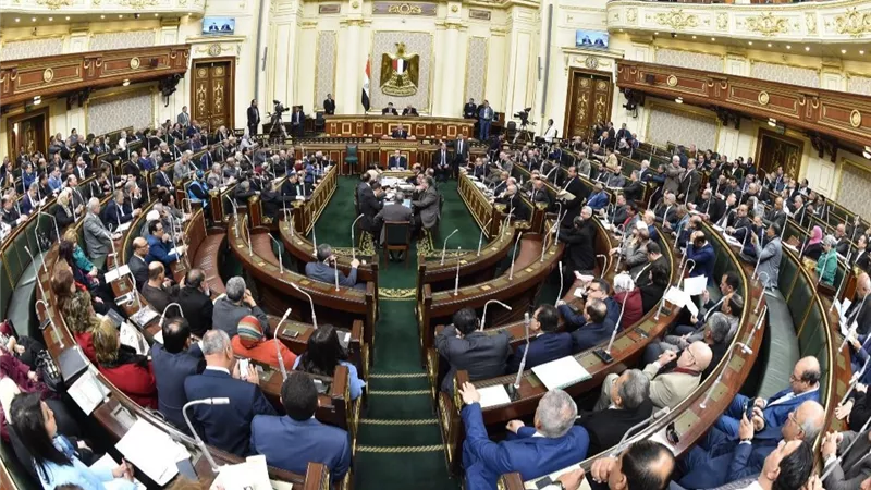 فقيه دستوري: لا يجوز الجمع بين عضوية «النواب والشيوخ» | فيديو