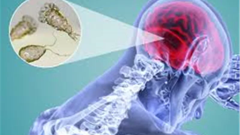 الأميبا آكلة الدماغ..كارثة جديدة تهدد العالم بعد كورونا والطاعون الدبلي