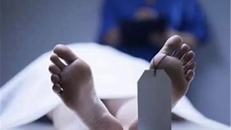 جريمة «قابيل وهابيل» تهز الشرقية