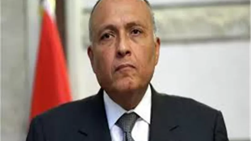 وزير الخارجية يكشف الخطوات المقبلة للتعامل مع أزمة سد إثيوبيا | فيديو