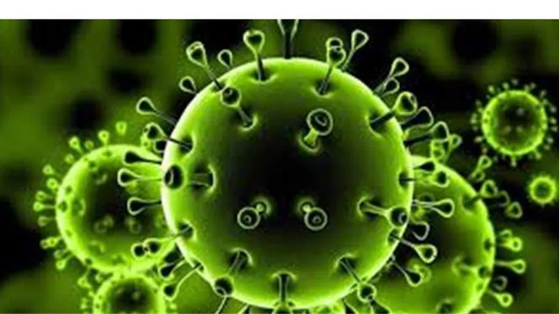 الصحة العالمية تكشف مفاجآت جديدة وتعلن أحدث دليل لطرق انتقال فيروس كورونا 