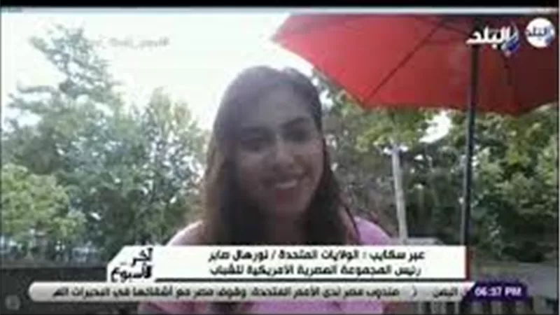مصريون يدعمون البلاد في أزمة سد إثيوبيا بوقفات أمام البيت الأبيض والأمم المتحدة | فيديو