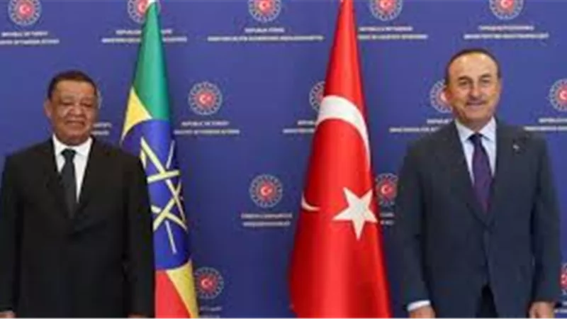 اللواء محمد عبد الواحد: زيارة مبعوث إثيوبي لتركيا يؤكد أن هناك خطة ممنهجة تهدد الأمن القومي العربي | فيديو