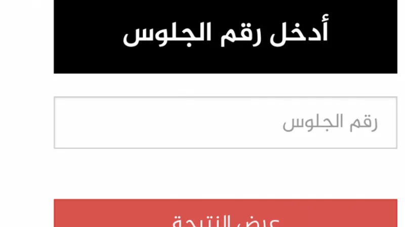 ظهرت الآن.. احصل على نتيجة الثانوية العامة 2020 من هنا