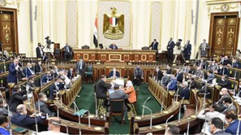 ما أهمية وصلاحيات مجلس الشيوخ | فيديو