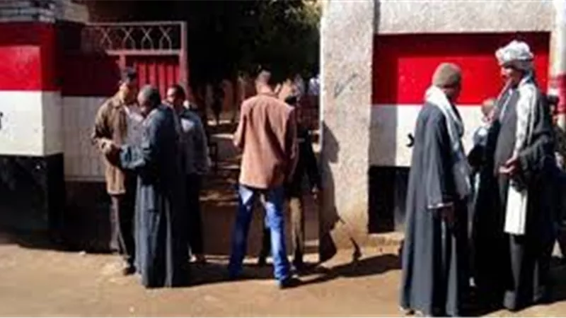 خبير حقوقي: الخلايا الإلكترونية تروج أكاذيب حول انتخابات الشيوخ | فيديو