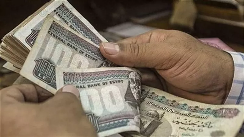 منحة جديدة تقدمها هيئة التأمينات الاجتماعية.. تعرف على الشروط والمستندات المطلوبة