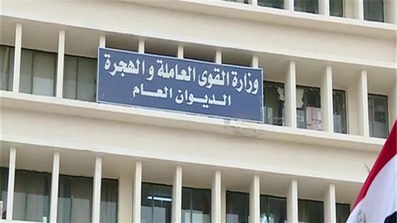 القوى العاملة تعلن عن وظائف في جميع التخصصات براتب 7 آلاف جنيه | فيديو