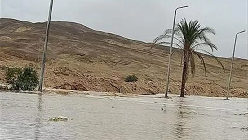 الري تكشف حقيقة تعرض مصر لضرر نتيجة السيول | فيديو