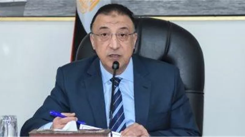 محافظ الإسكندرية: «حوت كبير» بنى 23 برجًا مخالفًا تجاوزت قيمتها مليار جنيه | فيديو