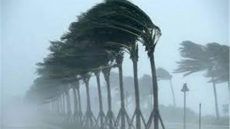 ليس له نظير.. الأرصاد تكشف طقس الشتاء المقبل 