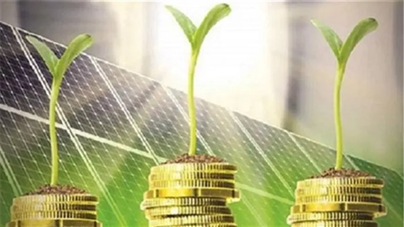 المالية: 3.8 مليار دولار قيمة طلبات شراء السندات الخضراء | فيديو