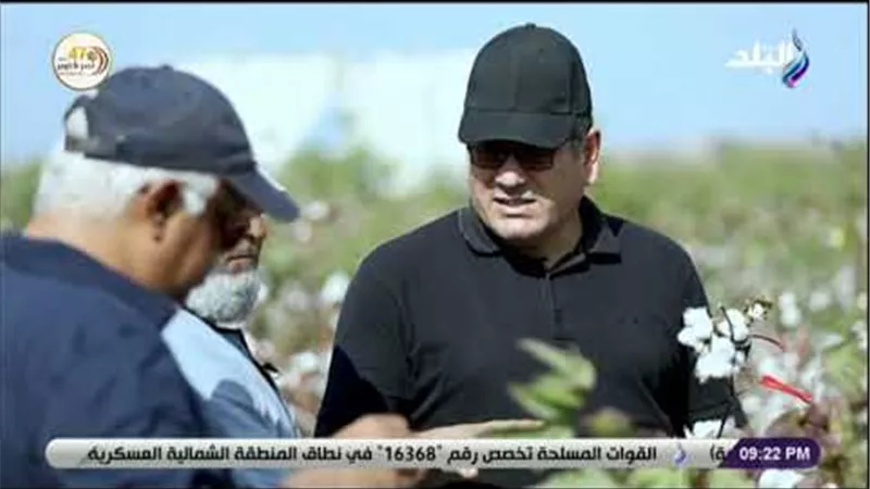 البحوث الزراعية: القطن المصري دخل موسوعة جينيس للأرقام القياسية | فيديو
