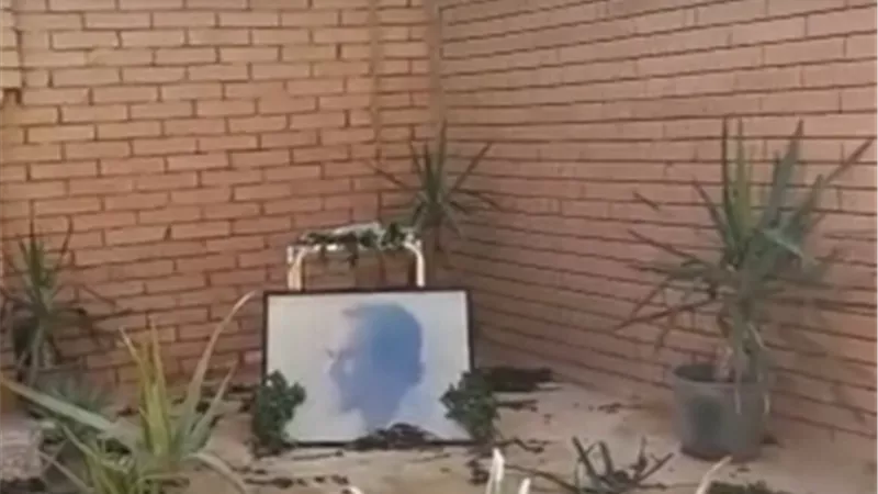 لماذا وضعت أسرة محمود ياسين النعناع على مدفنه؟