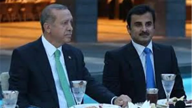 أستاذ علاقات دولية: أردوغان رهن تركيا لـ«قطر» مقابل المال | فيديو